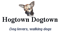 Hogtown Dogtown ~ Dog Walking and Pet Sitting 